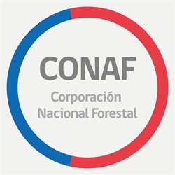 La Corporación Nacional Forestal - Sucursal ILLAPEL