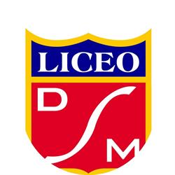 LICEO DOMINGO SANTA MARÍA