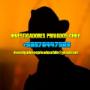 Investigadorees Privados Chile