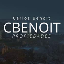 carlos benoit c propiedades limitada