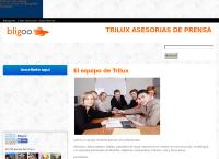 TRILUX ASESORÍAS DE PRENSA LTDA.