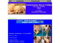 Veterinaria A Domicilio en Santiagoirtual
