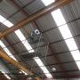 Ventilación galpón