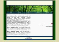 AMFOR - DESARROLLO FORESTAL