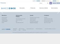 Bice Chileconsult Asesorias Financieras S a