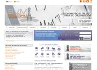 BVM Consultores