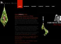 Fabio Reyes Allel