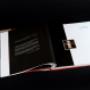 Libro Marta Colvin 5