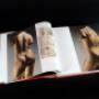 Libro Marta Colvin 6