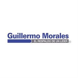 guillermo morales limitada