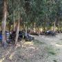 Subido por visitante en 20-02-2018 - Gran camping
