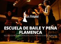 Baile Flamenco La Fragua