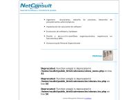 Netconsult A