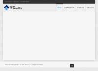 Pgsauditor