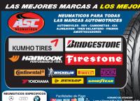 Sitio web de Asc Neumáticos
