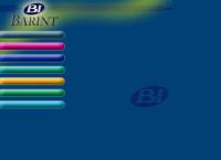 comercial barint limitada