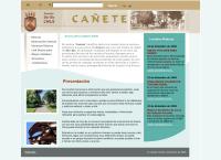 I. Municipalidad De Cañete