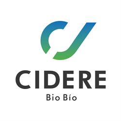Cidere Bío Bío