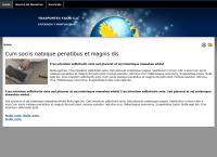 Transportes Fachi S a