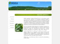 Ingea Ingenieria y Gestion Ambiental Limitada