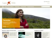 lundbeck chile farmaceutica limitada