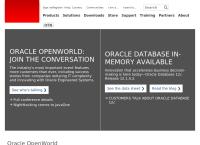 sistemas oracle de chile s a