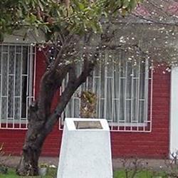 Colegio Particular Peter College