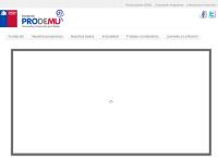 Sitio web de Fundación para la Promoción y Desarrollo de la Mujer - Sucursal Pichilemu