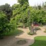 Subido por visitante en 03-07-2017 - Jardín en la parte de atrás