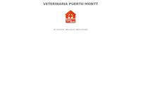Clinica Veterinaria Puerto Montt