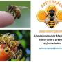 Apiterapia