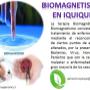 Terapias Biomagneticas