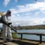Fullambient Fumigaciones