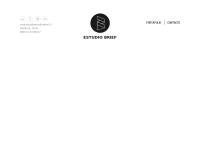 1º Estudio Brief