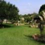 Jardin y Areas Verdes
