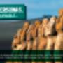 Proyecto: Guía de Isla de Pascua - Turismo