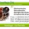 GREENPLAGAS-