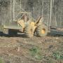 Madereo con Skidder John Deere 640D