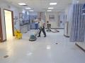 Aeseo limpieza oficinas empresas Antofagasta