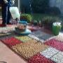 Alfombras sueltas dimensionadas y Muro a muiro
