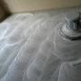 Recuperando alfombra contaminada