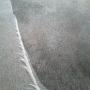 Recuperando alfombra contaminada