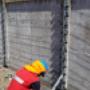 Subido por visitante en 02-02-2017