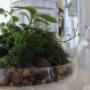 Plantas y decoracion