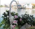 Arreglos de Plantas