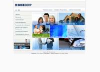 Bicecorp S a