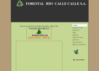 Forestal Rio Calle Calle S a