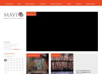 Museo de Artes Visuales
