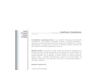 ip auditores consultores limitada