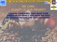 Sitio web de profesionales g p k chile limitada